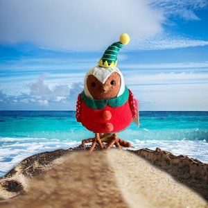 Target Wondershop Featherly Friends 2023 Christmas Elf Bird ~ Bauble